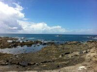 湘南の海よりもかなり青色が強い。南房総はほぼ全域が砂浜か、このような海岸。余計な建物もほとんどなく、非常に美しい。