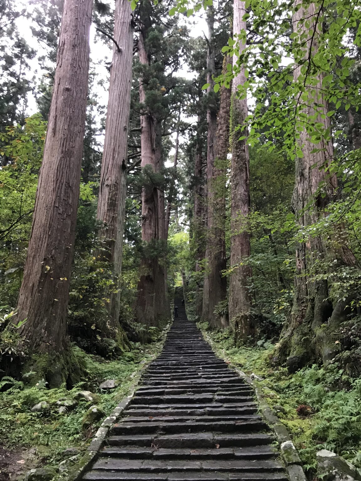日本人としてすべきこと