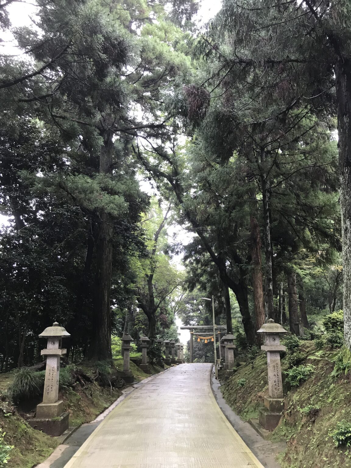 悩むことより学ぶこと