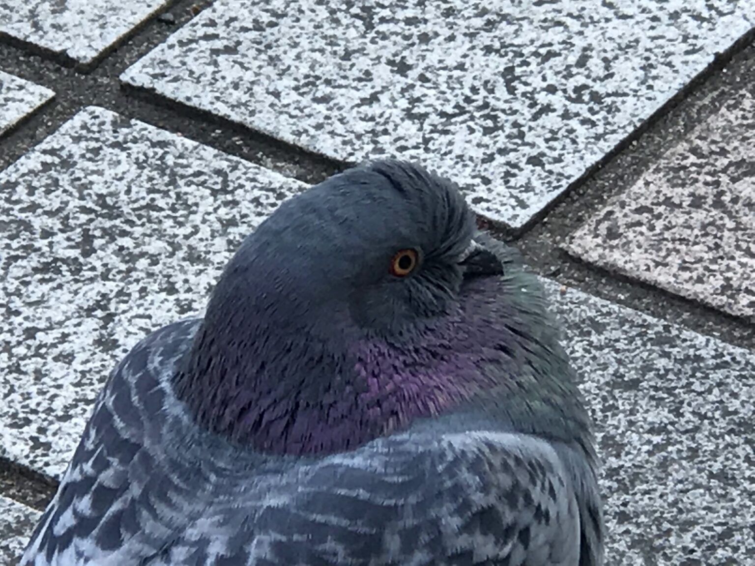 平等は気持ち悪い