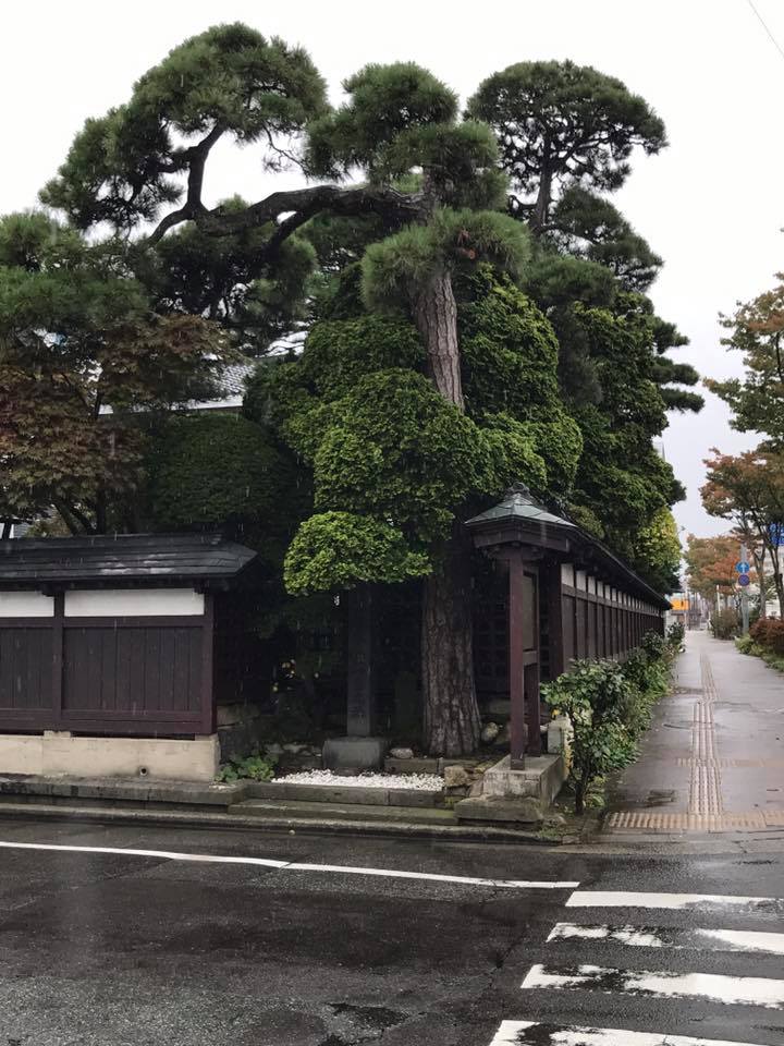 平田篤胤 生誕地・終焉地・墓所を巡る