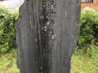 1955267771396602