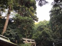 対馬国一之宮 海神神社