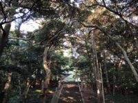 対馬国一之宮 海神神社