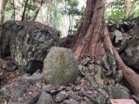 対馬 和多都美神社 三ツ鳥居 豊玉姫墳墓