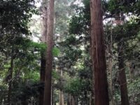 対馬 和多都美神社 三ツ鳥居 豊玉姫墳墓