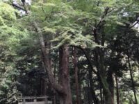 対馬 太祝詞神社