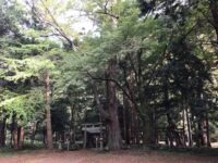 対馬 太祝詞神社