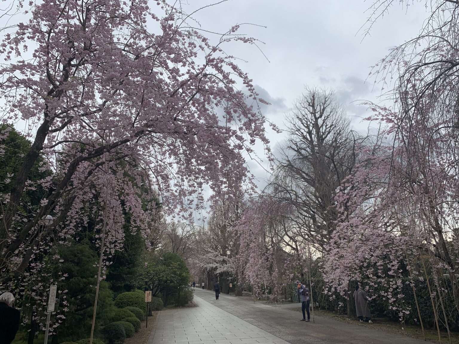 上野東照宮参道