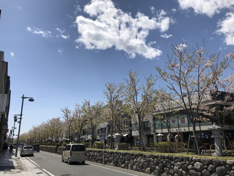 鎌倉　若宮大路