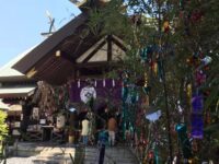 七夕飾 東京大神宮