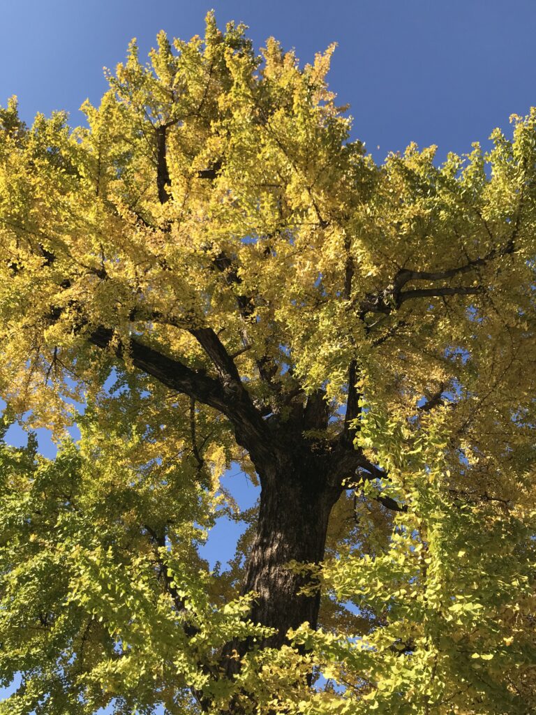 絶対的精神=唯一全能の神などあるのか?