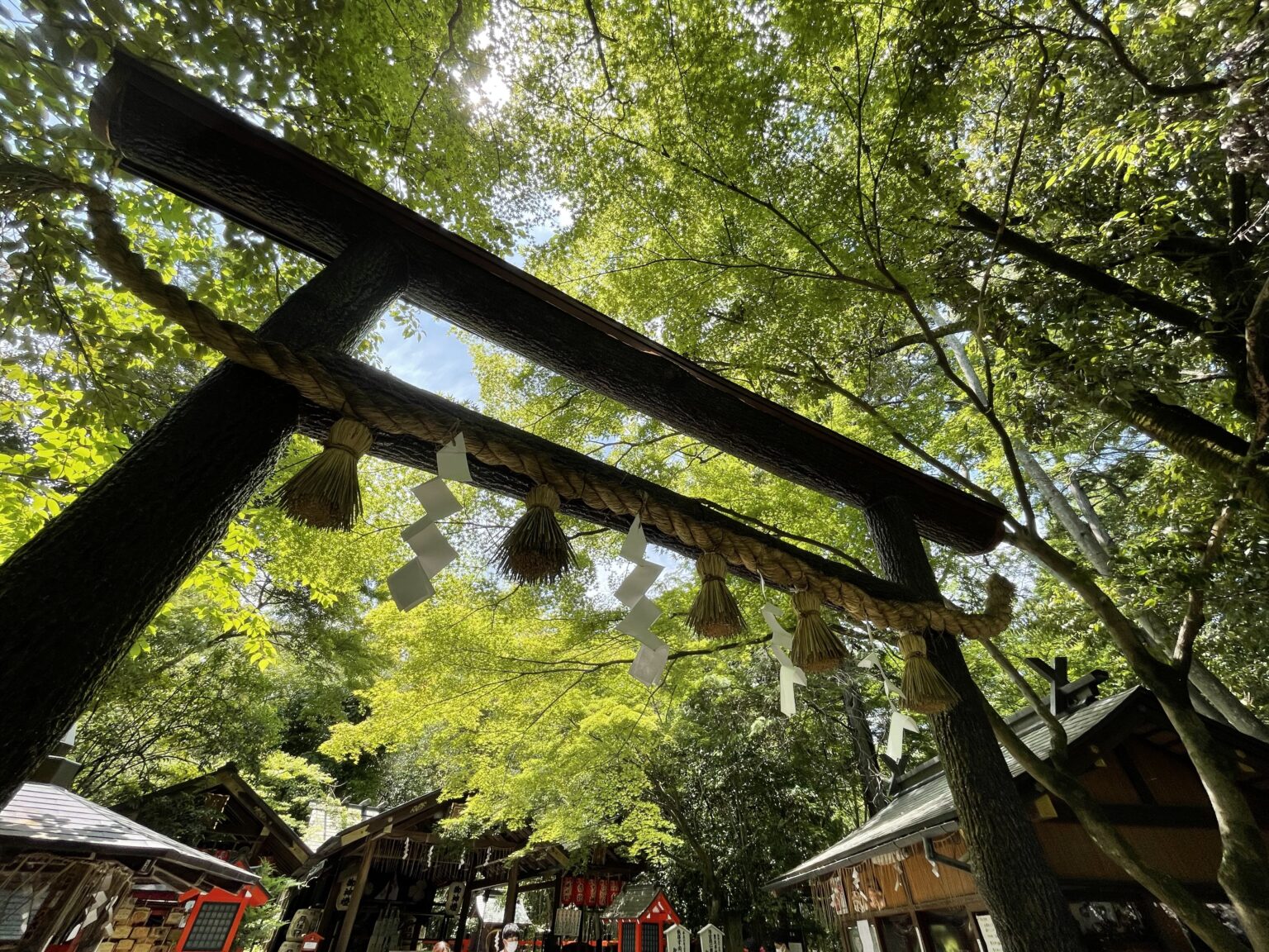 京都 野宮神社