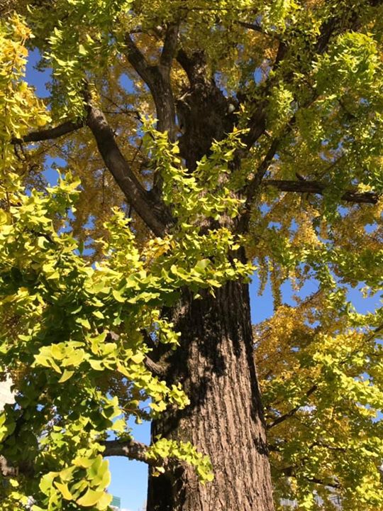 パラダイムシフト