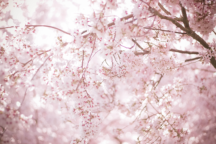 文明は宗教を軸にして成立する