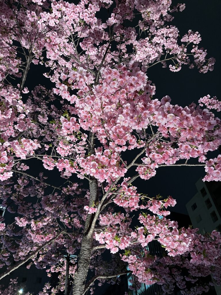 ロシアと韓国の付き合い方