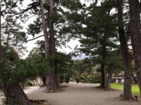 隠岐 水若酢神社