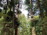 真野御陵(佐渡 順徳天皇火葬塚)/真野宮