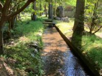佐渡国 一宮 度津神社