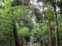 南生田 杉山神社