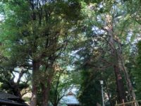 常盤台 天祖神社