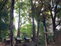 常盤台 天祖神社