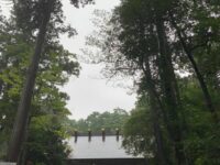伊勢國一之宮 椿大神社