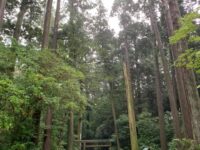 伊勢國一之宮 椿大神社