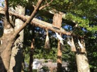 壱岐の鳥居