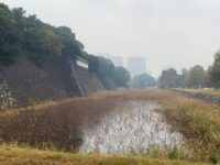 皇居内 下道灌濠／蓮池濠