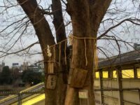 御茶ノ水 太田姫一口稲荷　