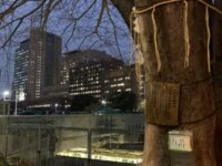 御茶ノ水 太田姫一口稲荷　