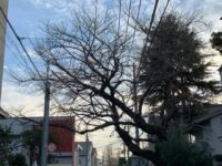 西小山／小山八幡