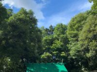 上野毛 稲荷神社と吉行淳之介宅