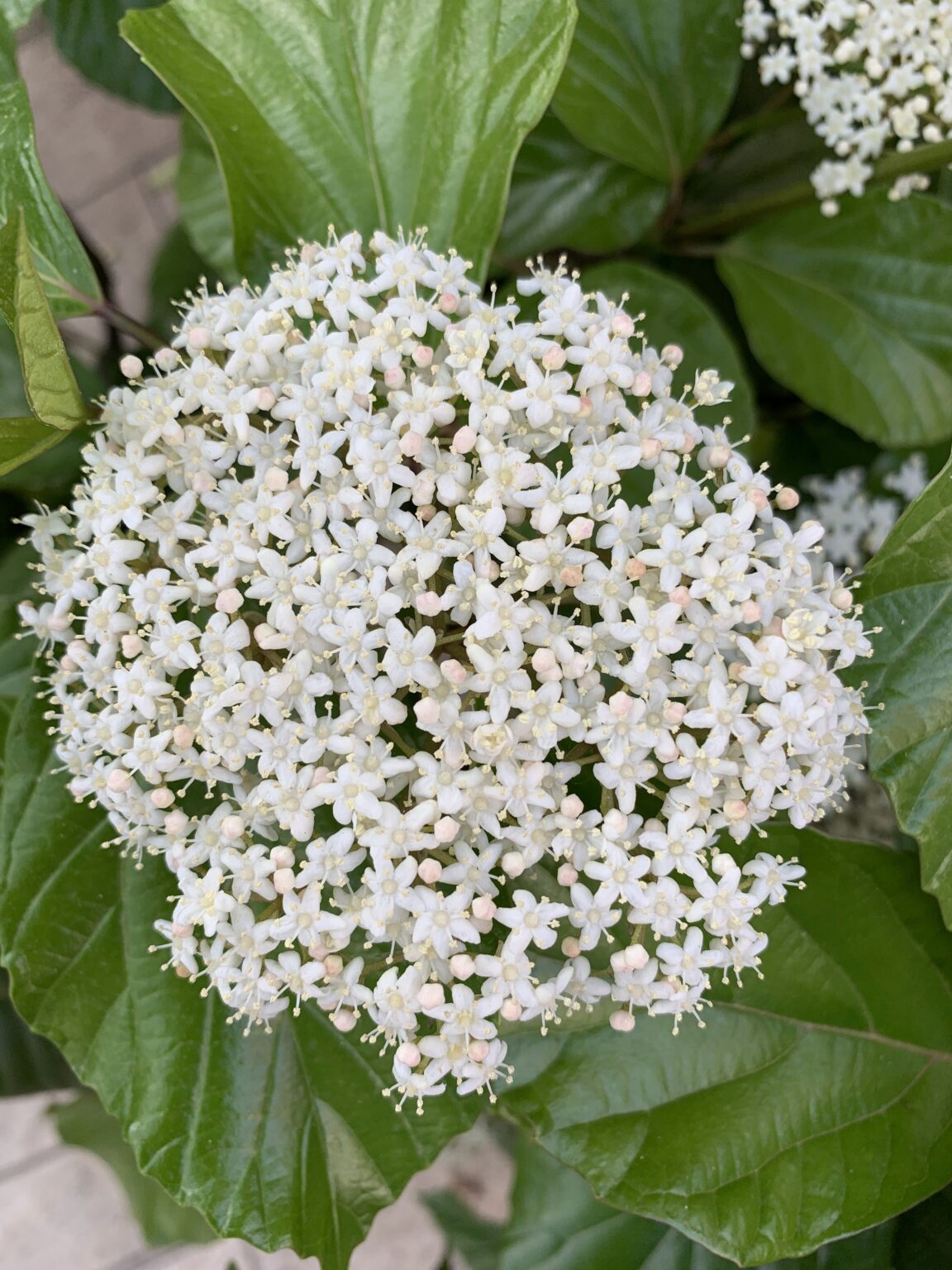 未来をシュミレートしておく