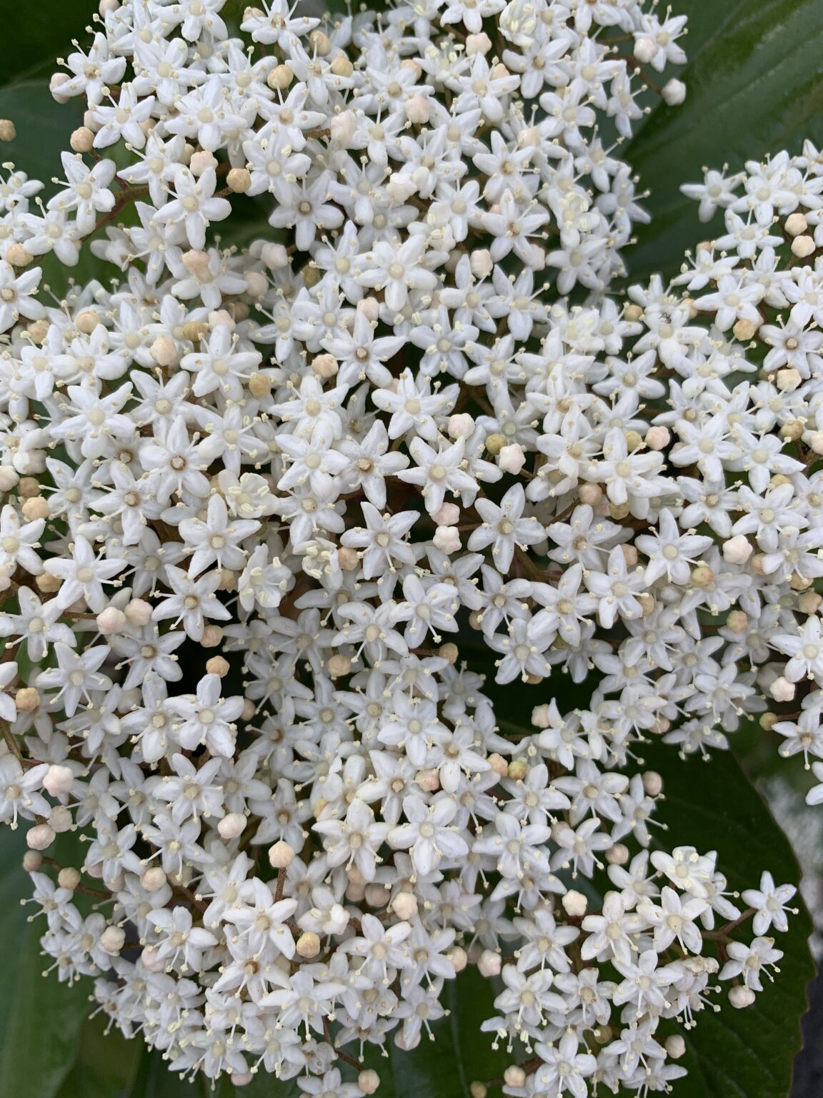 金(かね)について