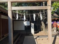 乃木神社／正松神社