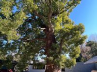 栄誉権現 上野東照宮内摂社