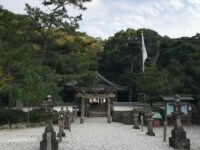 対馬 和多都美神社