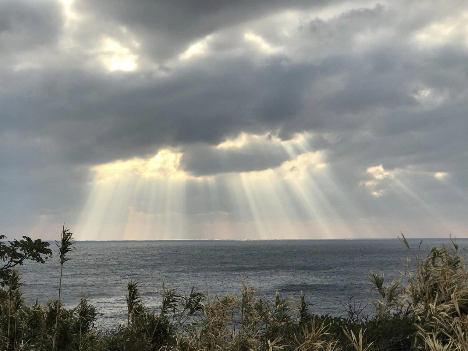 対馬　住吉三神　殿崎　日本海海戦記念碑前から