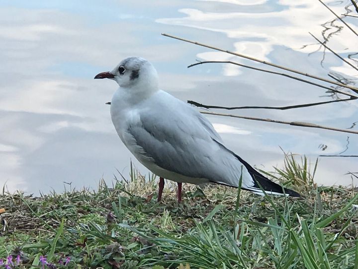 生まれたばかりの魂は消滅しやすいのだという 生まれたばかりの魂は消滅しやすいのだという