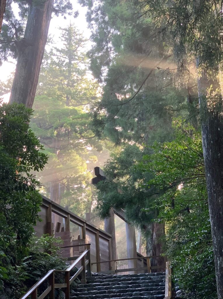 『ヨハネの黙示録』を読む 『ヨハネの黙示録』を読む