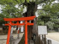 武蔵新田 新田神社