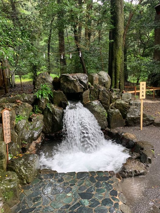 全体調和的価値体系と環境主義との違い 全体調和的価値体系と環境主義との違い