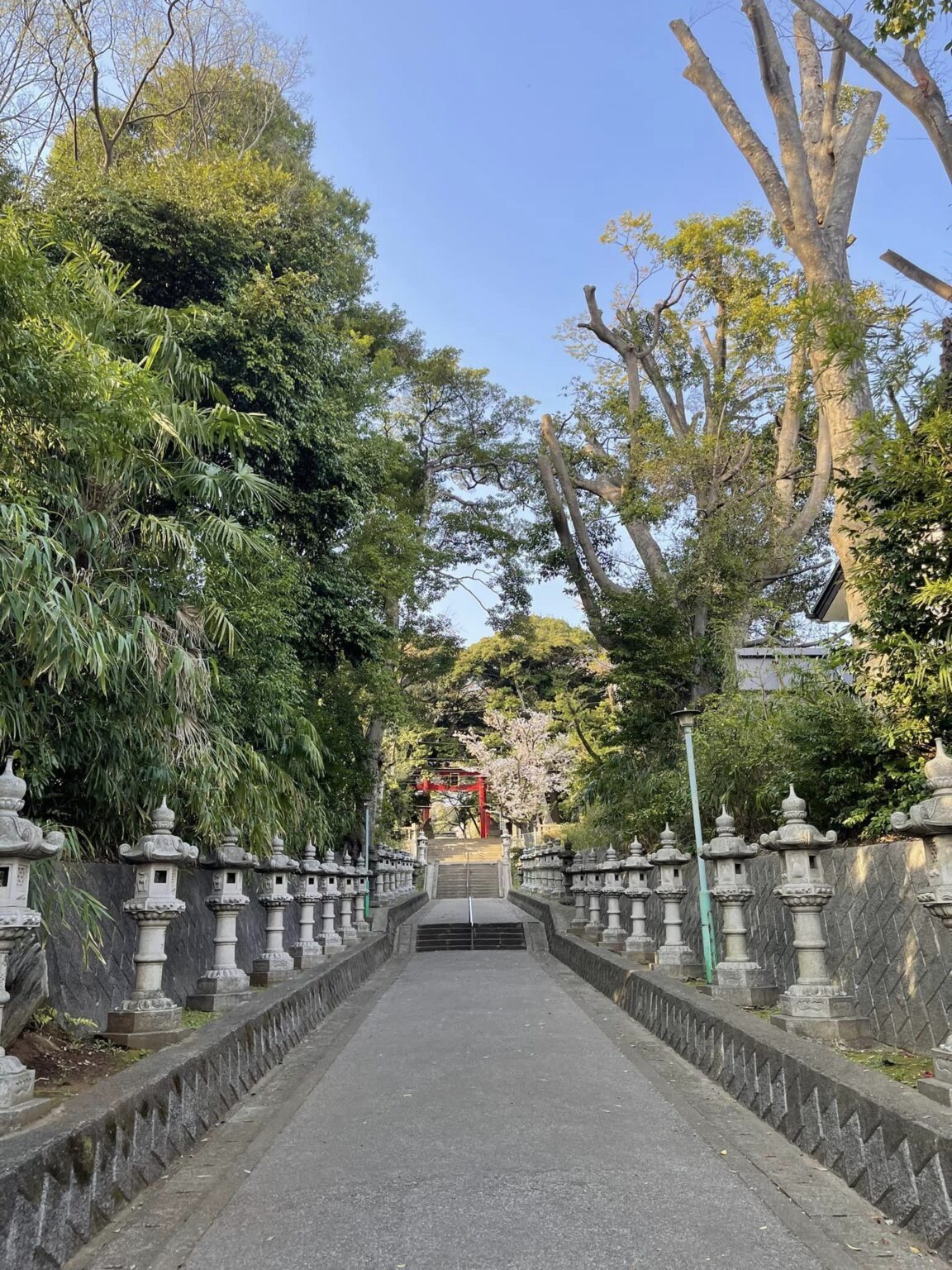 川口　峯ヶ丘八幡神社