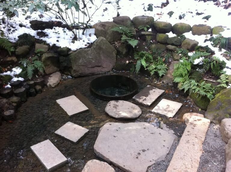 明治神宮 清正井