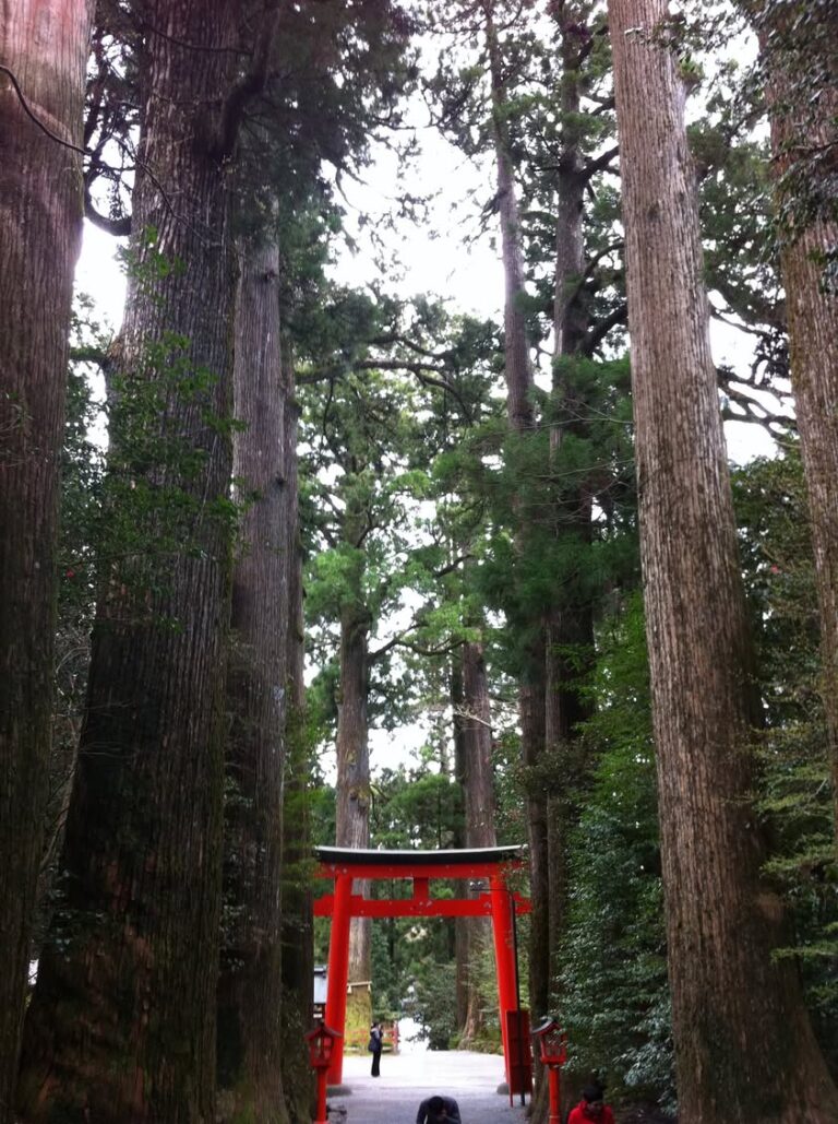 箱根神社