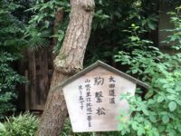 将門調伏の地 水稲荷