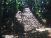 代々木八幡と源頼家