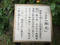 武蔵新田 新田神社